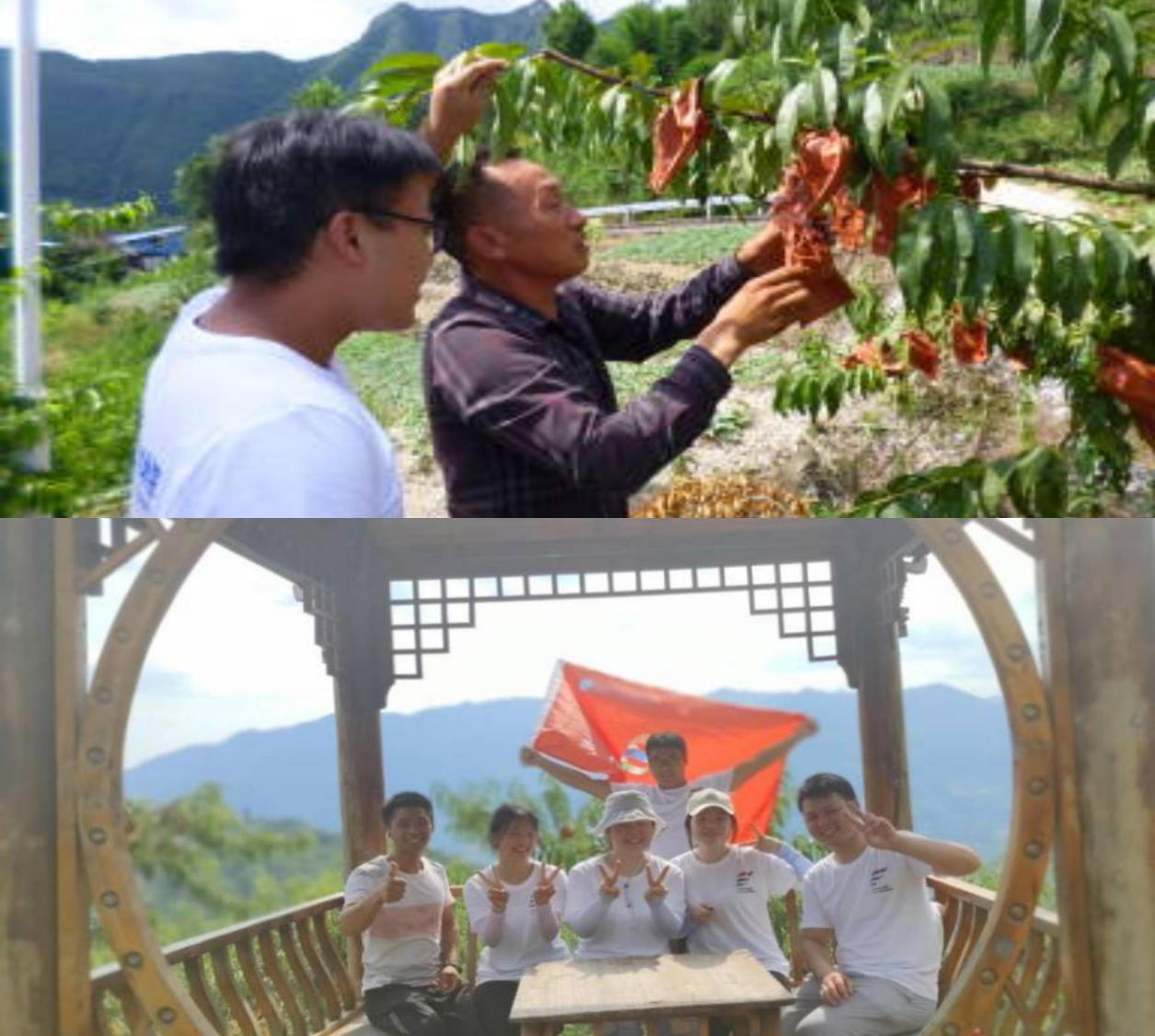 MPJs_1666263257308049710.png 深入黄桃基地考察学习.png