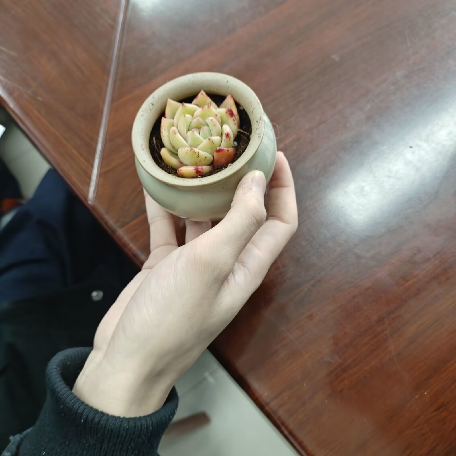 sOSy_1678798262199068281.jpg