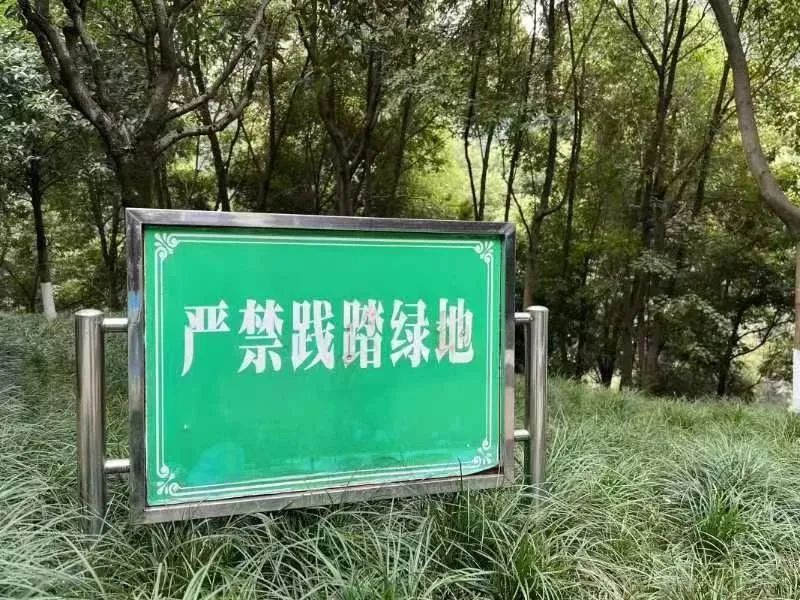 JcMG_1710416883450008985.png