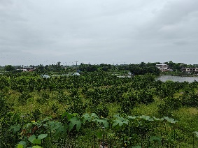 ZVBv_1725279758720002090.png