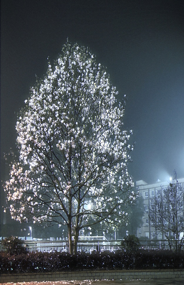 DhNs_1742892758848029584.png